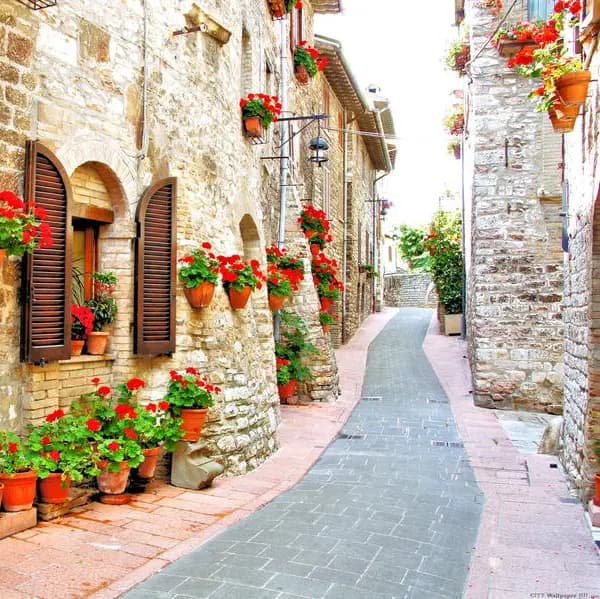 Italy offers affordable, high-quality education in historic, culturally rich cities. With prestigious public universities, a growing number of English-taught programs, and warm Mediterranean settings, it’s an appealing choice for international students.